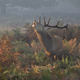 Image for article titled The most inspiring nature photography of the year
